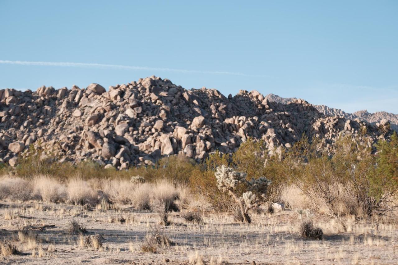 @ Marbella Lane - The Moon Designer Home Right Behind The Jtnp Joshua Tree Ngoại thất bức ảnh
